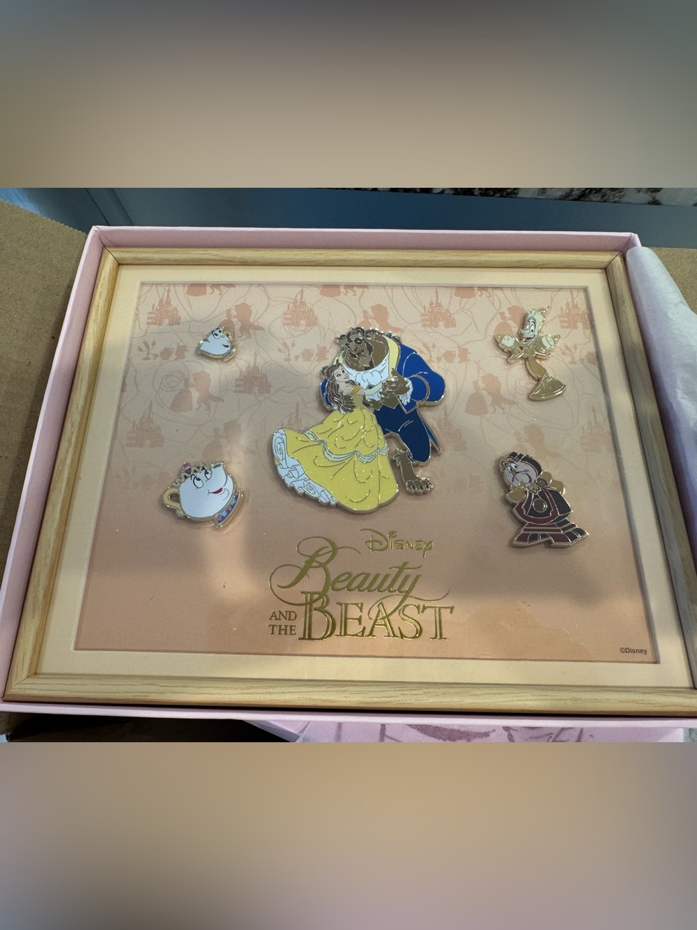 Disney Beauty & The Beast Framed Pin Set in Frame - PALM-5-pin set